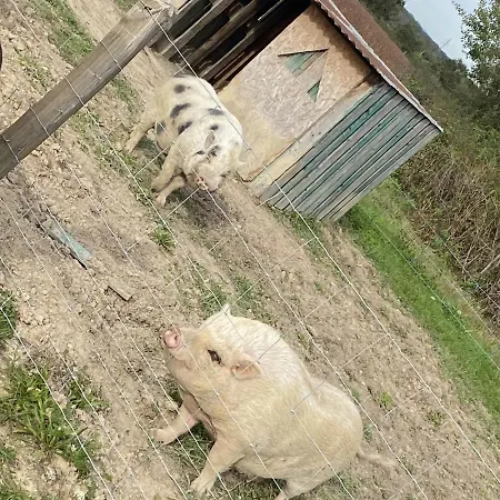 La Bele & Toile Campeggio Thiel-sur-Acolin