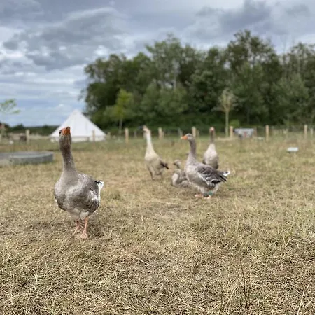 Campeggio La Bele & Toile Thiel-sur-Acolin