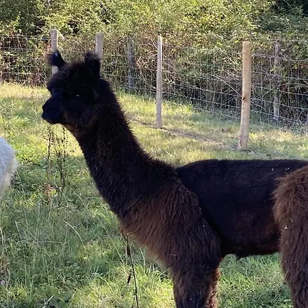 La Bele & Toile Campeggio *